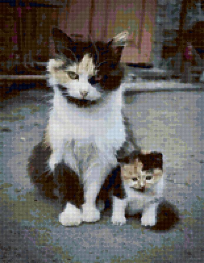 5633 - природа, кошки, животные, котята - предпросмотр