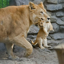 Схема вышивки «616»