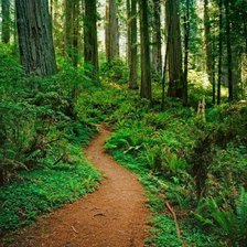 Схема вышивки «№44065»