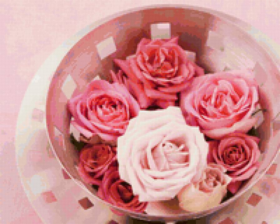 розы - цветы, природа - предпросмотр