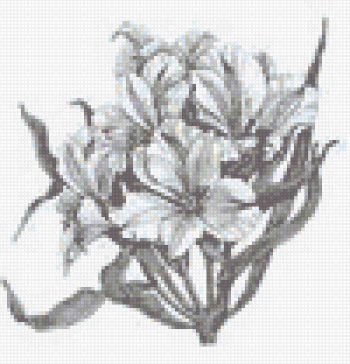 №44271 - предпросмотр