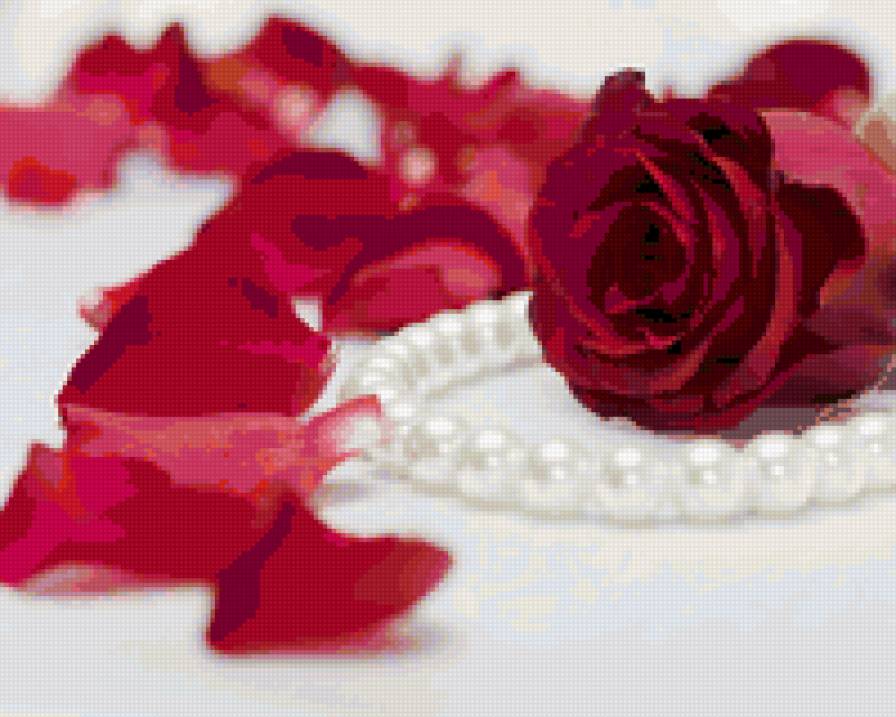 роза1 - природа, цветы - предпросмотр