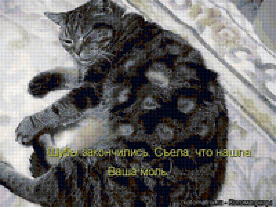 896 - природа, животные, котята, кошки - предпросмотр