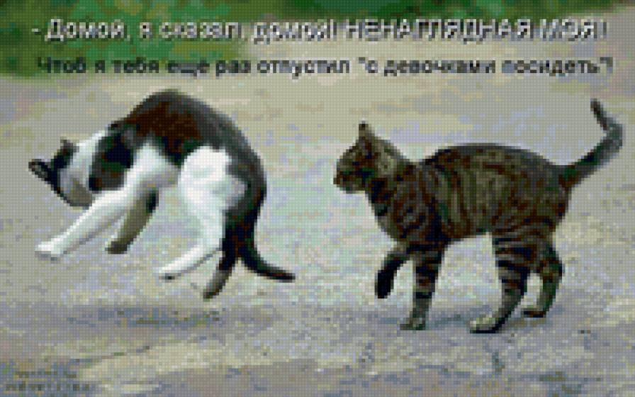 654546 - природа, кошки, животные, котята - предпросмотр