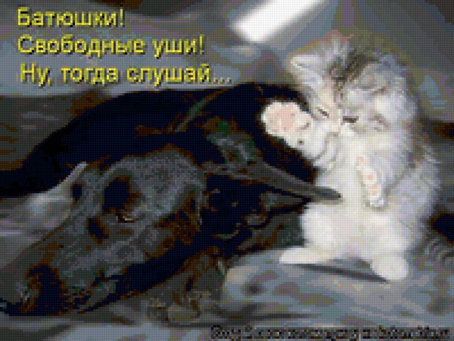 5555 - животные, кошки, природа, котята - предпросмотр