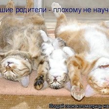 Схема вышивки «9861»