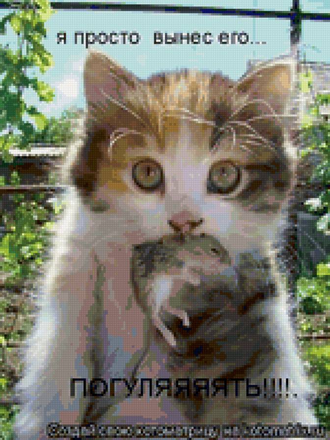 98641 - животные, котята, природа, кошки - предпросмотр