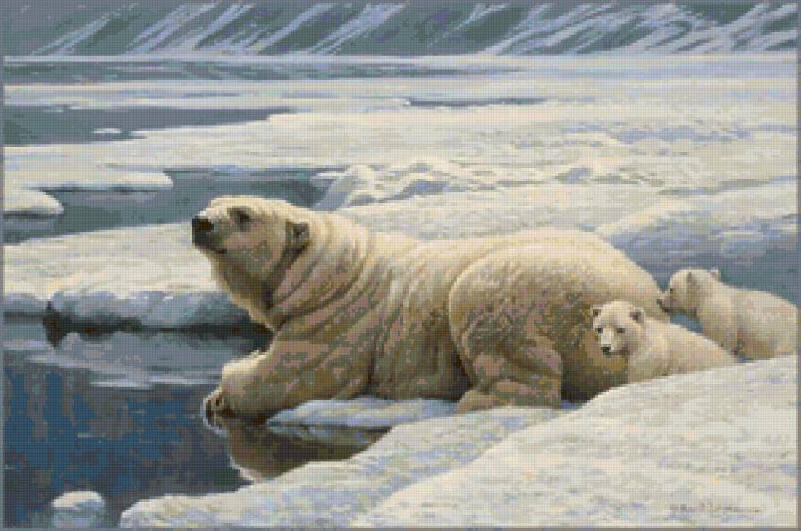 Семья белых медведей - снег, медведи, зима, животные, пейзаж - предпросмотр