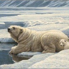 Схема вышивки «Семья белых медведей»