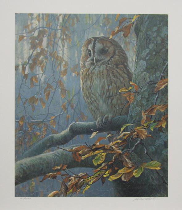 Серия "Птицы. Филин" - пейзаж, сова, осень, птицы, филин - оригинал