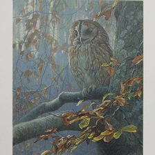 Схема вышивки «Серия "Птицы. Филин"»