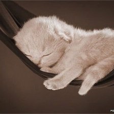 Схема вышивки «676543»