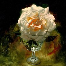 Схема вышивки «Серия "Соло розы"»