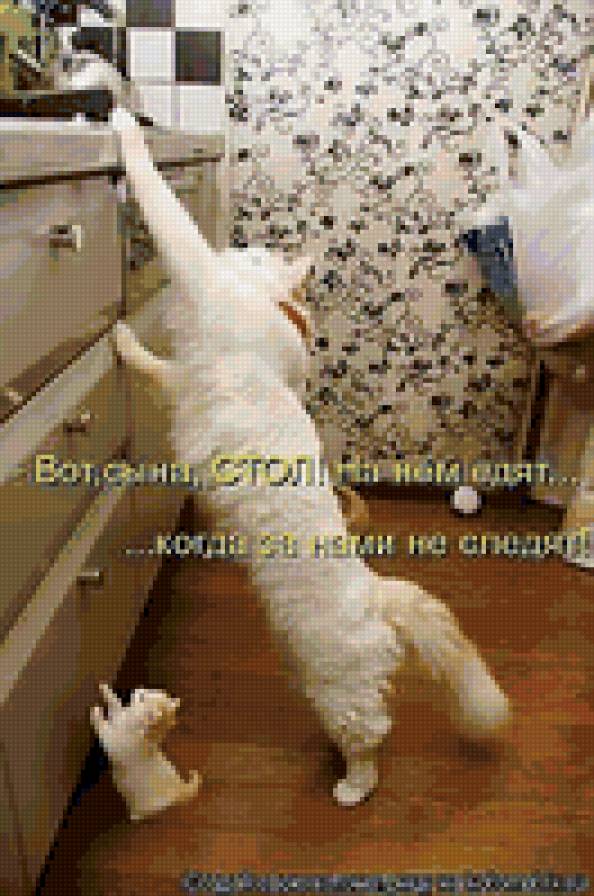 465 - животные, кошки, природа, котята - предпросмотр