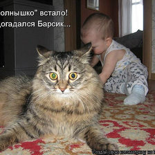 Схема вышивки «5458»