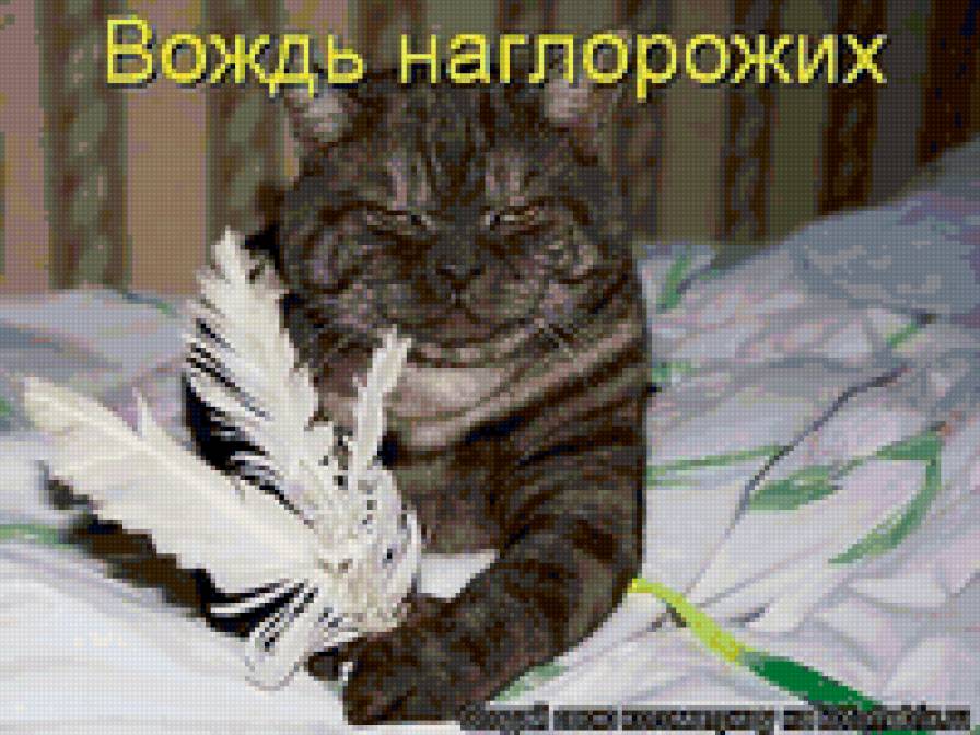 6546542 - природа, животные, кошки, котята - предпросмотр