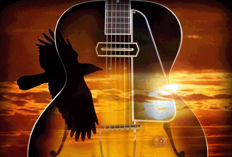 Песня - птица, песня, гитара, музыка - оригинал