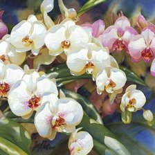 Схема вышивки «№45266»