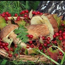 Схема вышивки «осеннии дары»