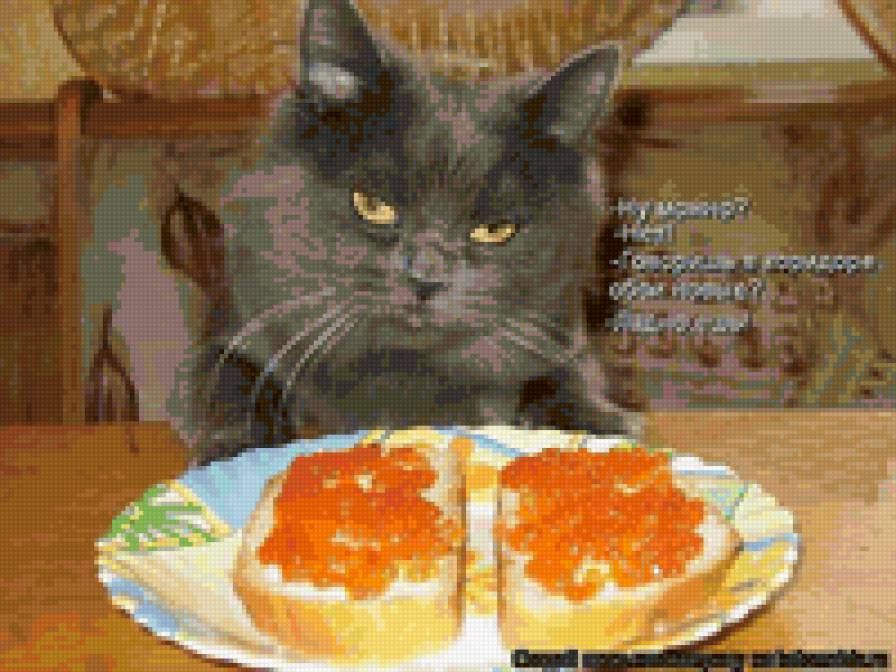 54244254 - котята, природа, кошки, животные - предпросмотр