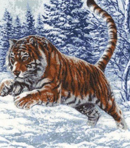 Тигр - лес, зима, снег, природа, тигр, пейзаж - оригинал