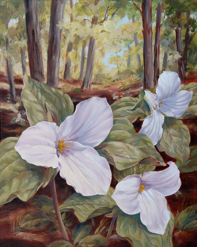 №45406 - оригинал