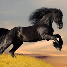 Схема вышивки «конь»