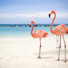 Схема вышивки «№45576»