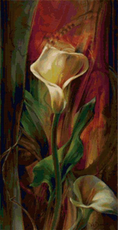 каллы - цветы - предпросмотр