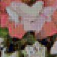 Предпросмотр схемы вышивки «маки» (№45655)
