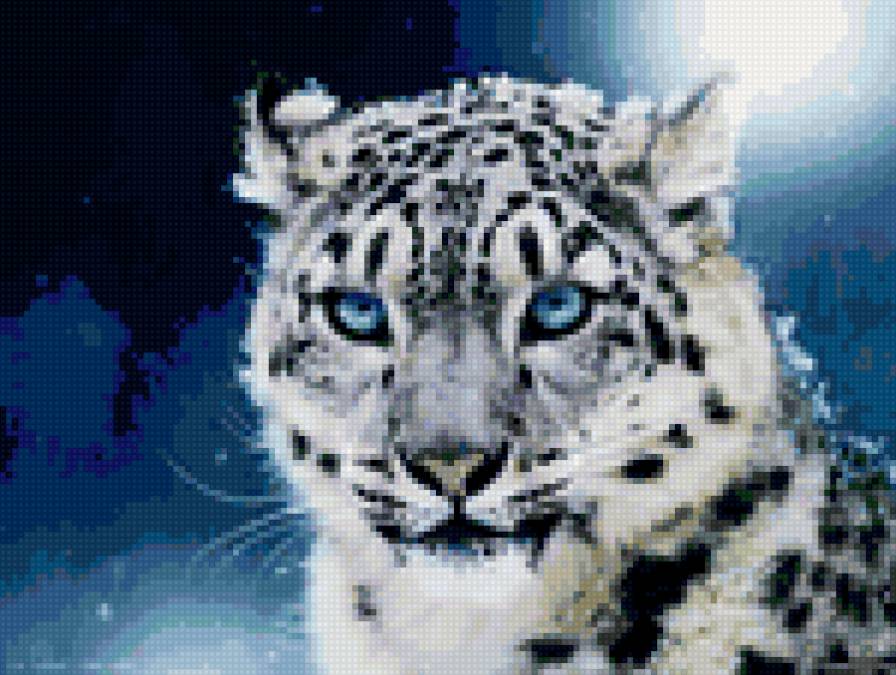 Барс - барс - предпросмотр