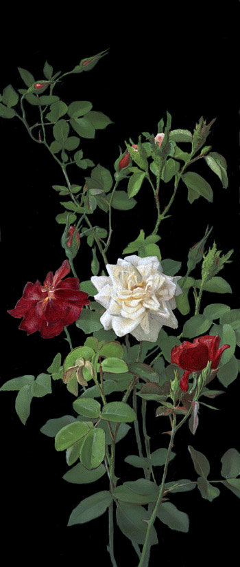 Серия "Цветы" - цветы, розы - оригинал