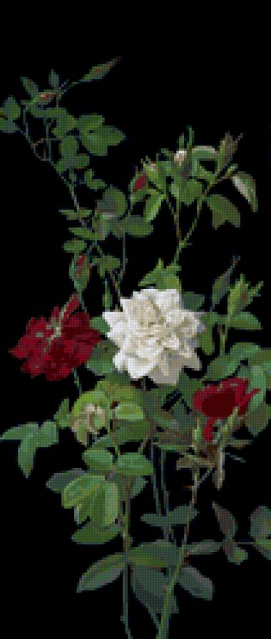 Серия "Цветы" - розы, цветы - предпросмотр