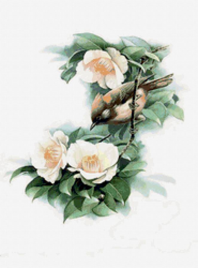 Серия "Цветы" - цветы - предпросмотр