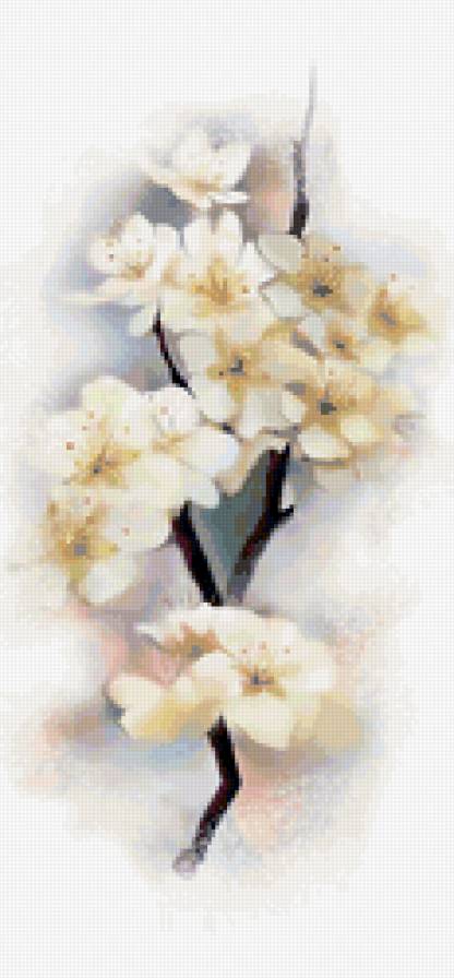 Серия "Цветы" - цветы - предпросмотр