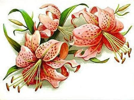 Серия "Цветы" - цветы - оригинал