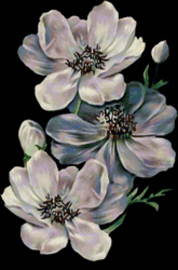 Серия "Цветы" - цветы - предпросмотр