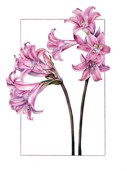 Серия "Цветы" - цветы - оригинал