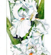 Схема вышивки «Серия "Цветы"»