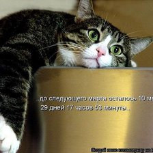 Схема вышивки «6389»