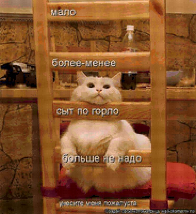 656565 - кошки, котята, животные, природа - предпросмотр