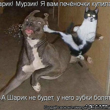 Схема вышивки «789789»