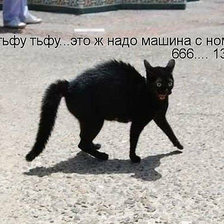 Схема вышивки «6989»