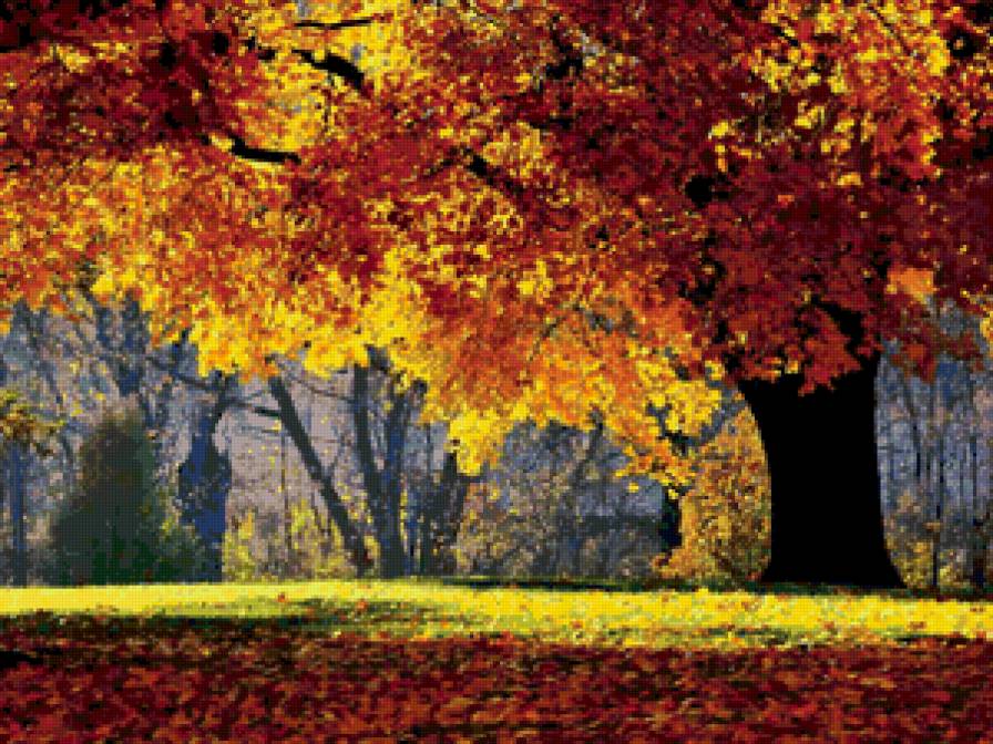 №46144 - предпросмотр