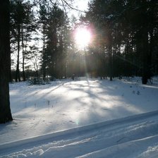 Схема вышивки «Природа»