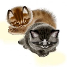 Схема вышивки «коты»