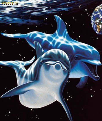 Дельфины - дельфины, вода, пара - оригинал