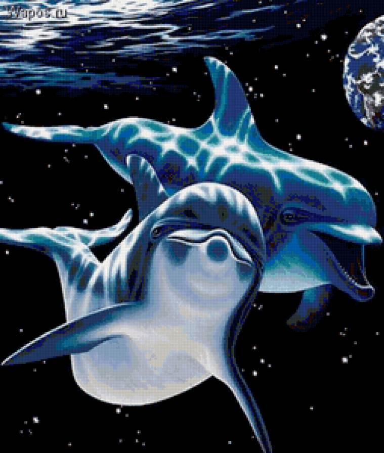 Дельфины - дельфины, вода, пара - предпросмотр