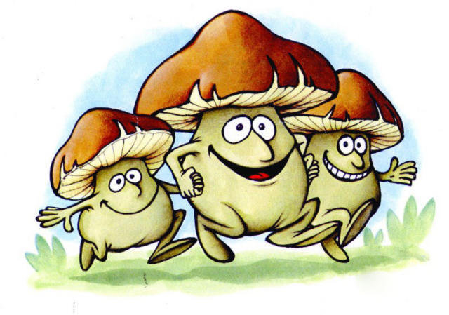 грибы - оригинал