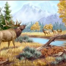 Схема вышивки «благ.олень»